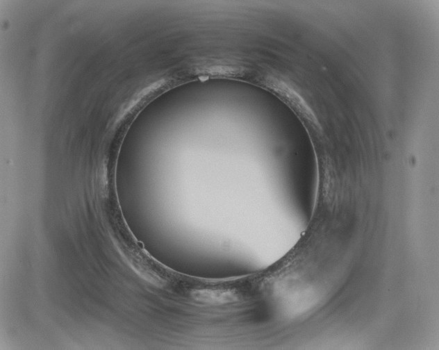 X0000081570251200701151219