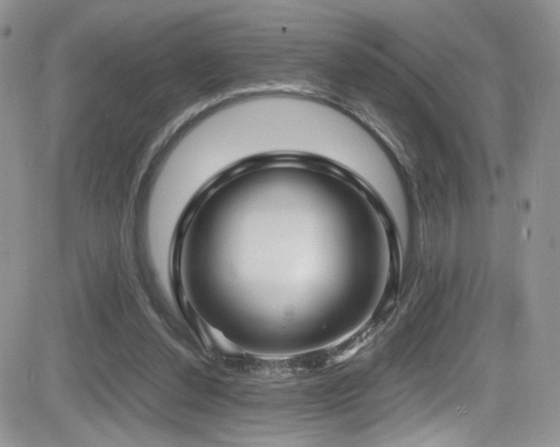 X0000081570252200701151219