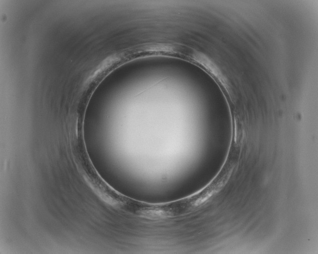 X0000081570253200701151219