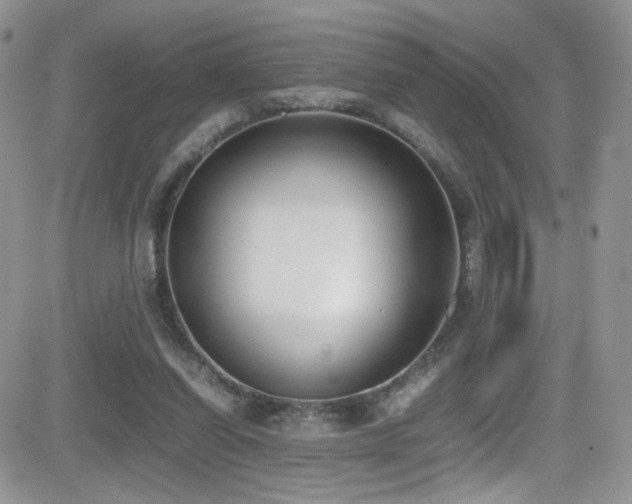 X0000081570254200701151219