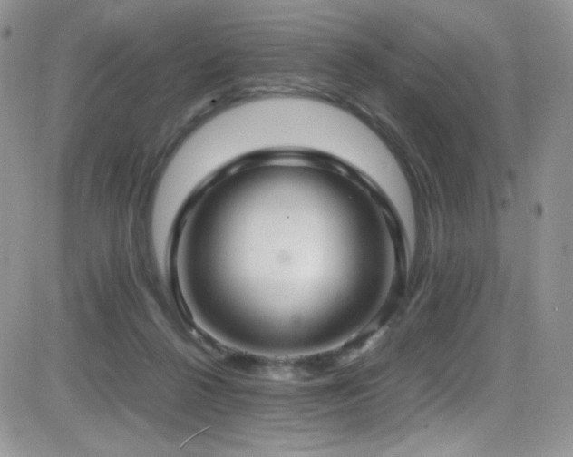 X0000081570264200701151219