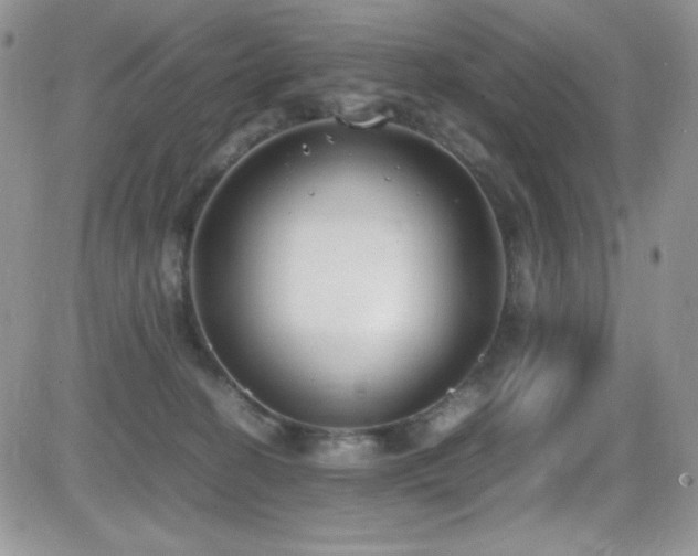 X0000081570274200701151219