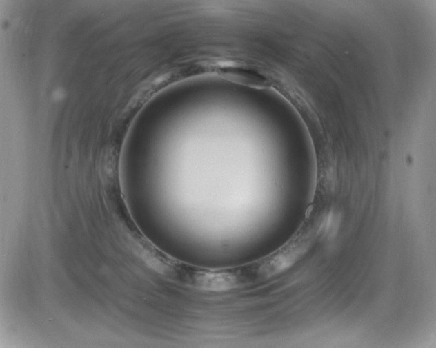 X0000081570277200701151219
