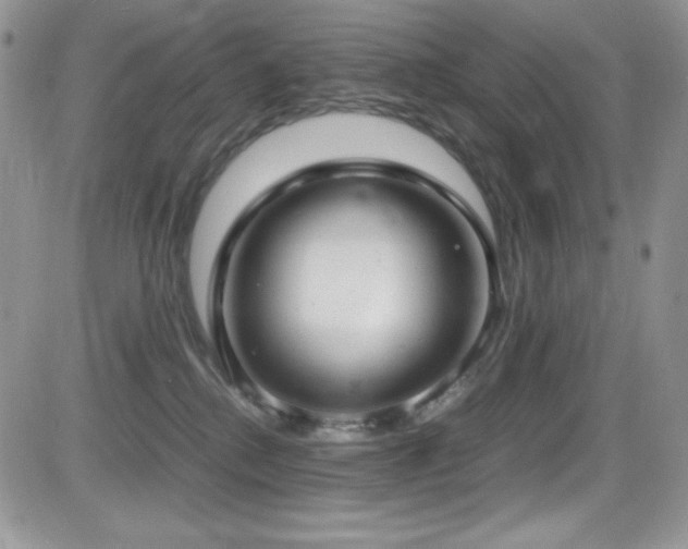 X0000081570280200701151219