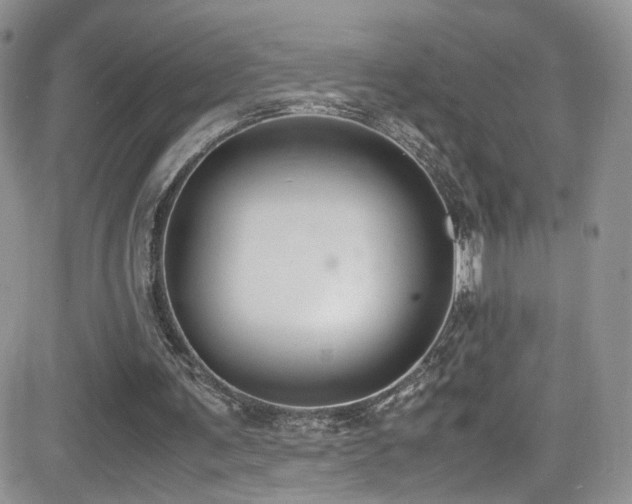X0000081570291200701151219