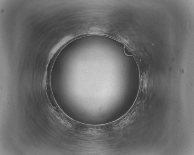 X0000081570292200701151219