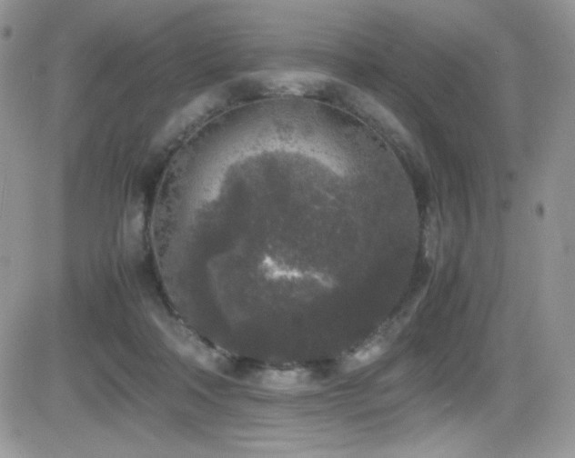 X0000081570314200701151218