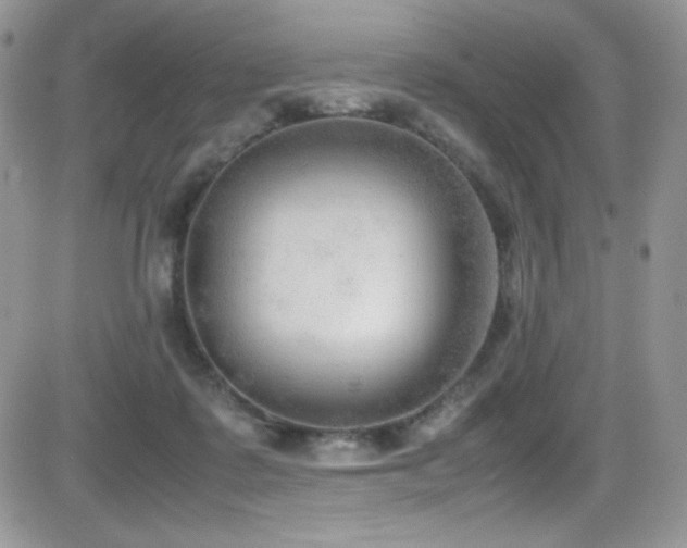 X0000081570315200701151218