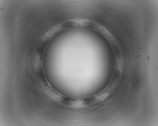 X0000081570318200701151218
