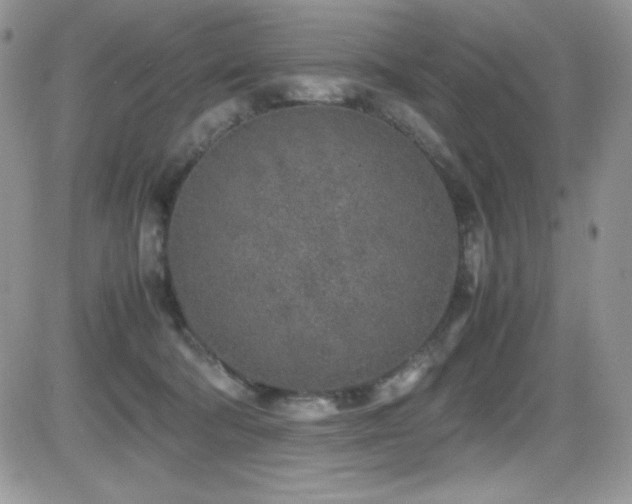 X0000081570322200701151218