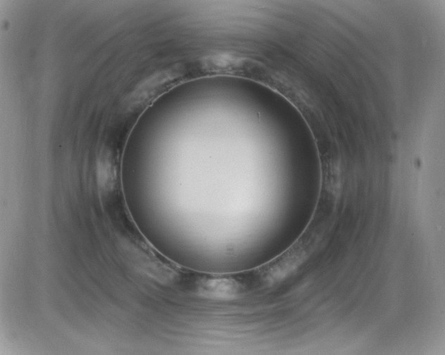 X0000081570324200701151218