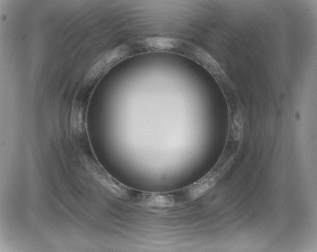 X0000081570330200701151218