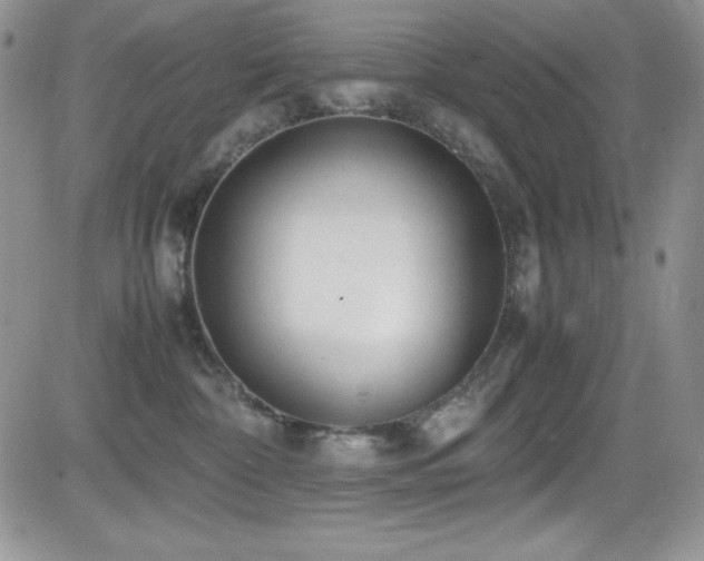 X0000081570332200701151218