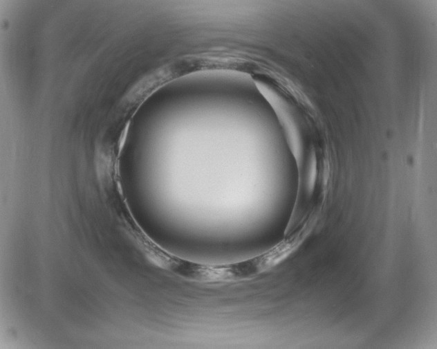 X0000081570333200701151218