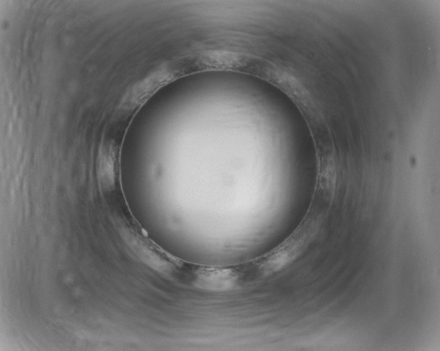 X0000081570334200701151218