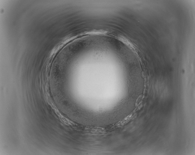 X0000081570337200701151217