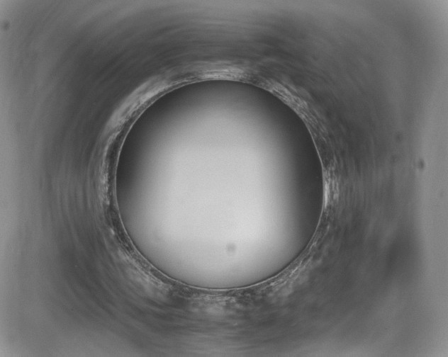 X0000081570339200701151217