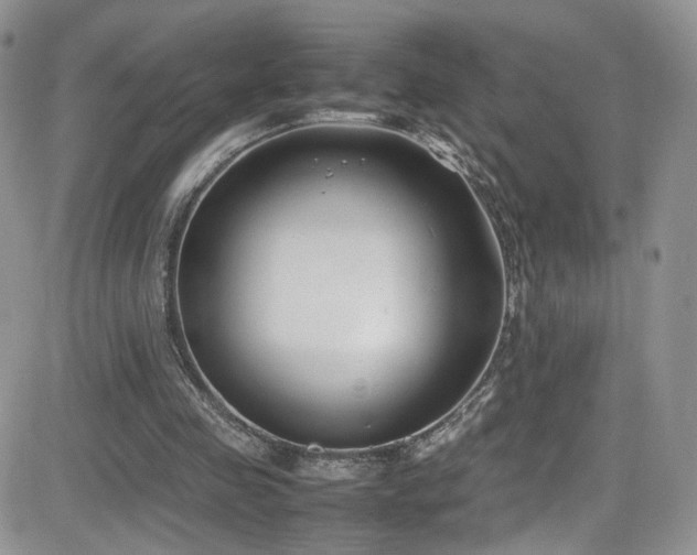 X0000081570341200701151217