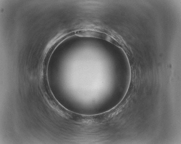 X0000081570344200701151217
