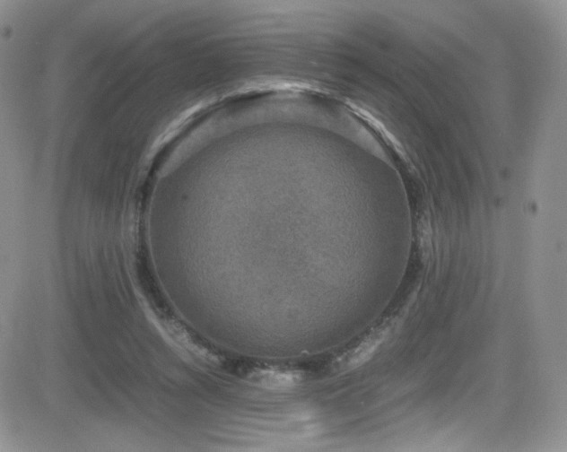 X0000081570352200701151217
