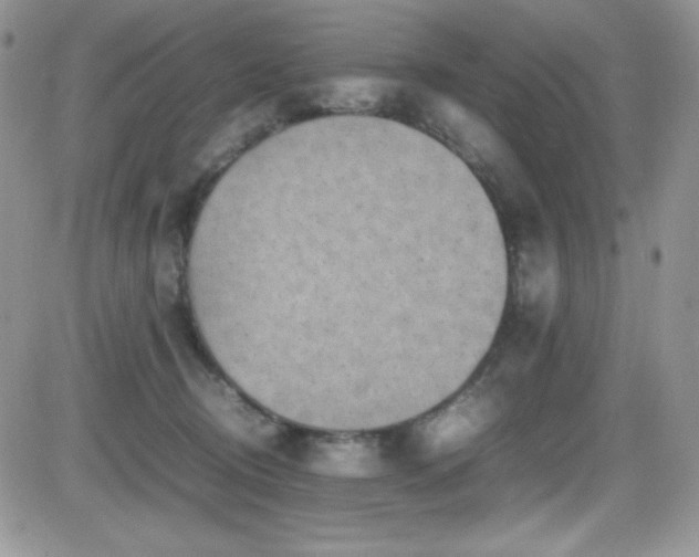 X0000081570370200701151218