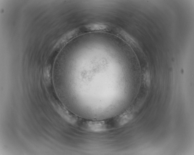 X0000081570373200701151218