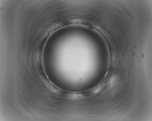 X0000081570379200701151218
