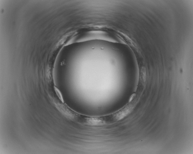 X0000081570380200701151218