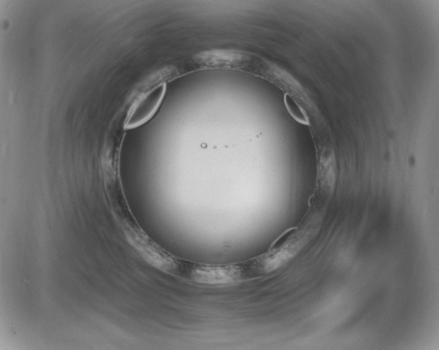 X0000081570381200701151218