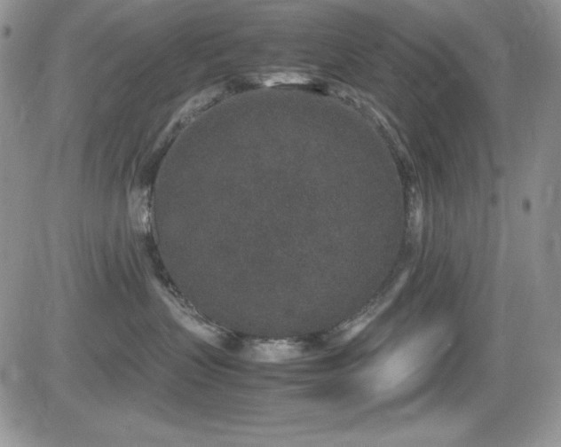 X0000081570383200701151218