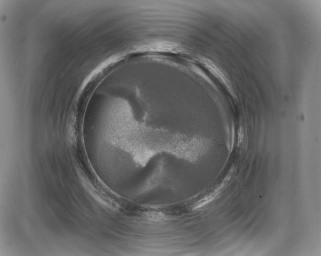 X0000081570392200701151217