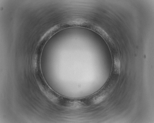 X0000081570396200701151217