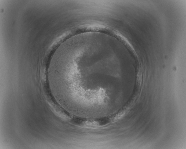 X0000081570403200701151217