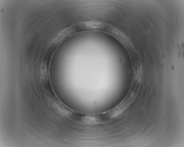 X0000081570418200701151217