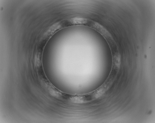 X0000081570422200701151217