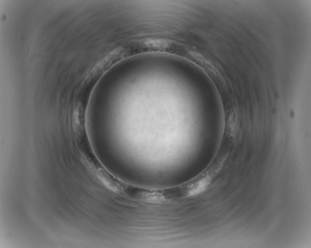 X0000081570424200701151217