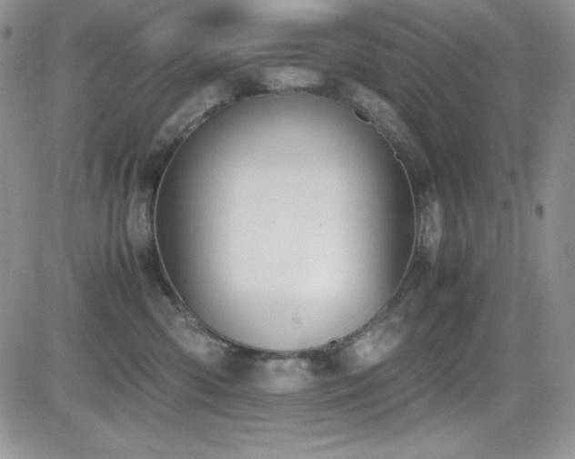 X0000081570426200701151217