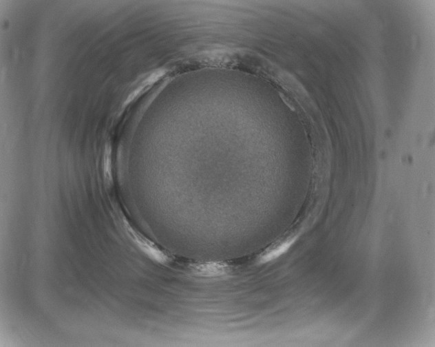 X0000081570432200701151216