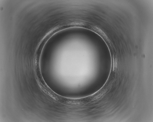 X0000081570435200701151216