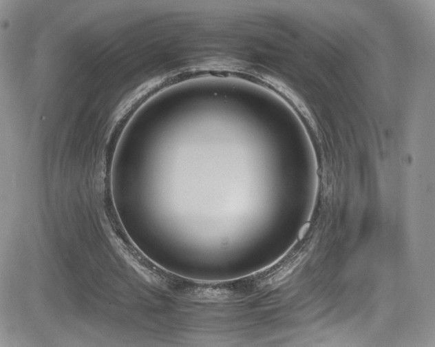 X0000081570437200701151216