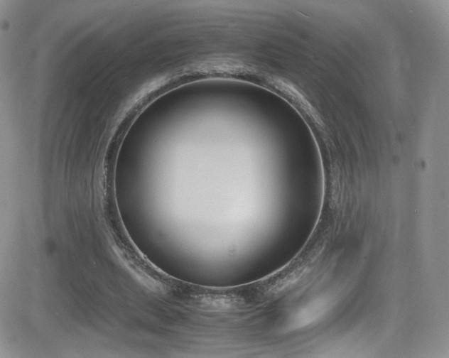 X0000081570439200701151216