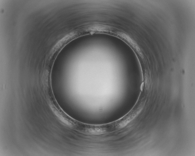 X0000081570445200701151216