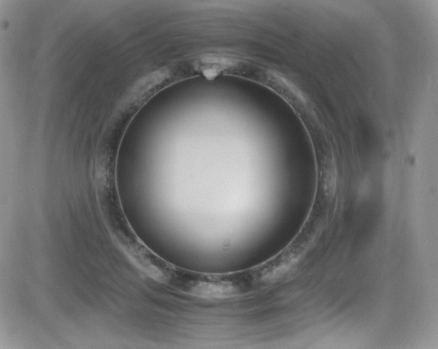 X0000081570455200701151216