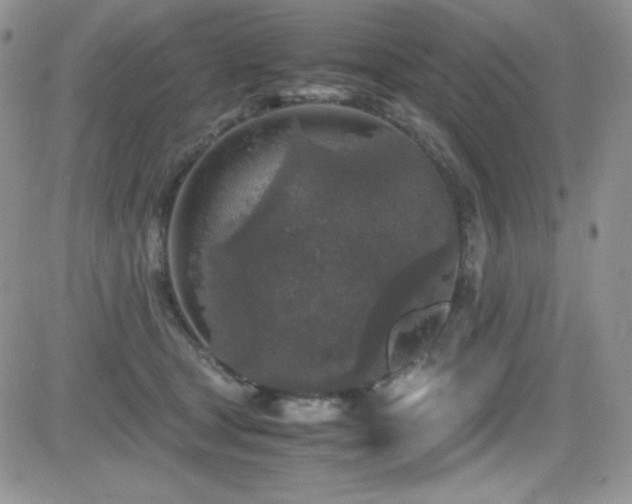 X0000081570465200701151216