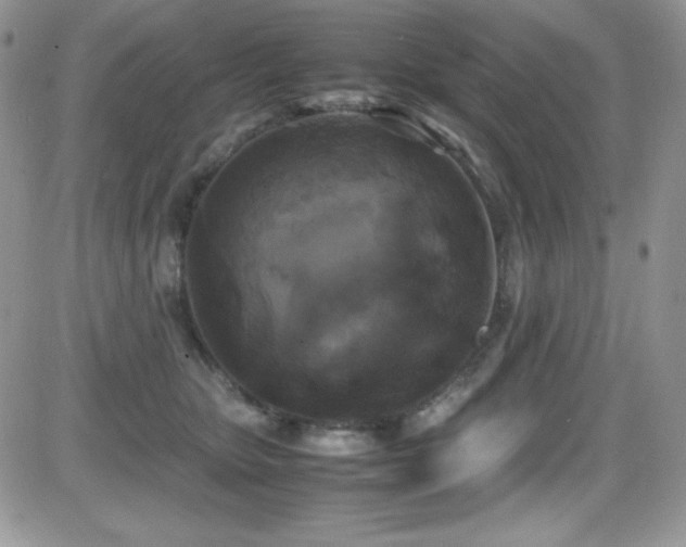 X0000081570467200701151216