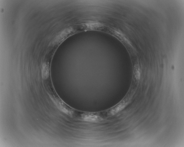 X0000081570471200701151216