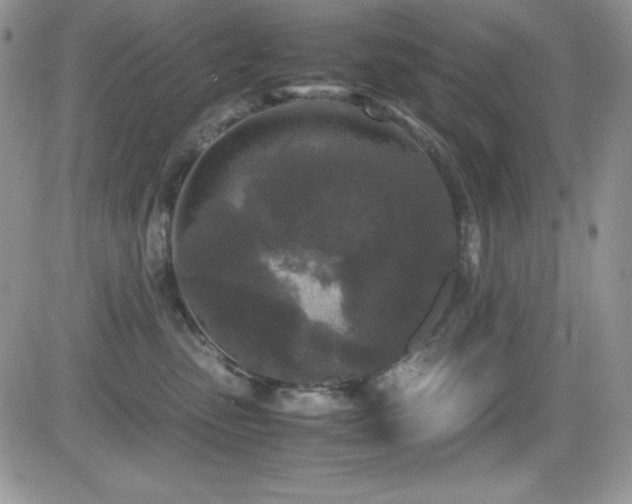 X0000081570475200701151216