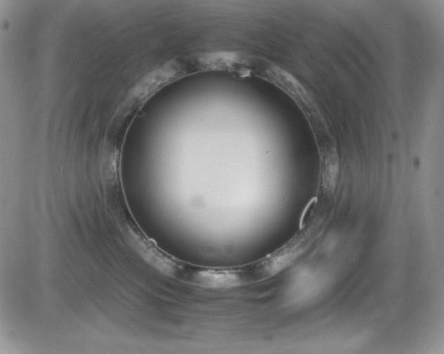 X0000081570477200701151216
