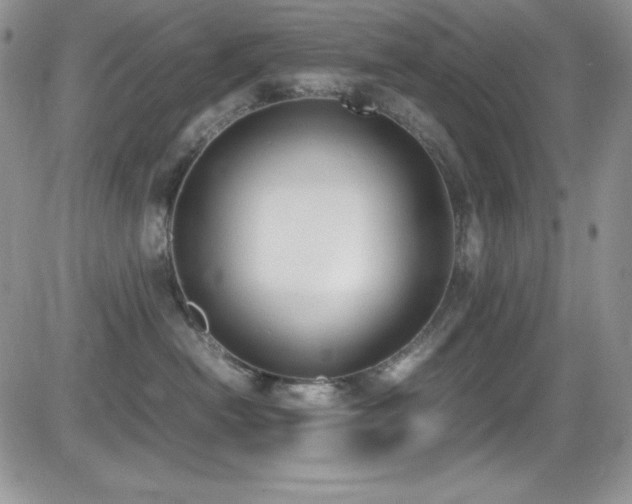 X0000081570478200701151216