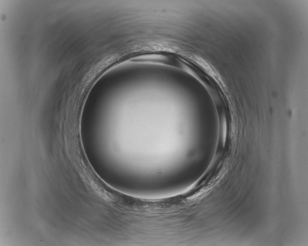 X0000081570481200701151216